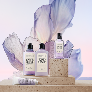 L'Occitane Lavande Blanche ギフトセット Lavande Blanche Eau de Toilette | L'Occitane en Provence